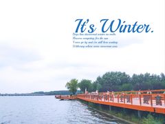 -丁香湖公园