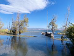 -洱海月湿地公园