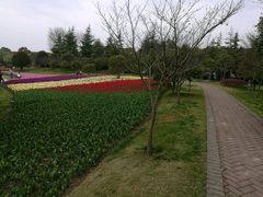 -上海鲜花港