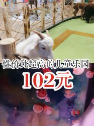 -七巧国萌宠乐园(龙湖天街店)