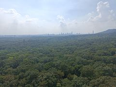 -灵谷景区