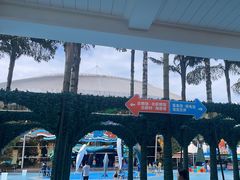 -海合安成都极地海洋公园