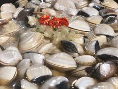 -顺德哥卜卜贝(旗舰店)