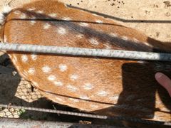 -祥源·阜阳生态乐园