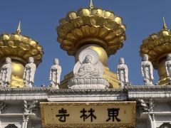 -上海东林寺(金山区)