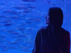 -太平洋海底世界