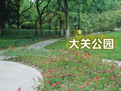 -大关公园