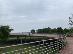 -江滩湿地公园
