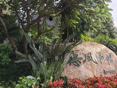 -惠和石文化园