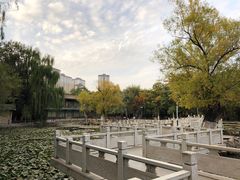 -五泉山公园