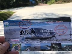-广东惠东海龟国家级自然保护区