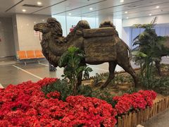 -银川河东国际机场
