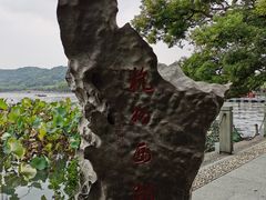 -杭州君悦酒店