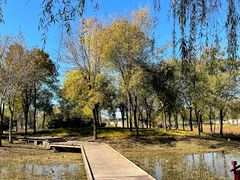 -东郊湿地公园