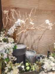 -恒美雅轩·品牌直营连锁