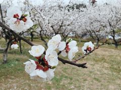 景点-云龙湖旅游景区