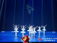 -中央芭蕾舞团·中芭艺蕾(酒仙桥明星校区)