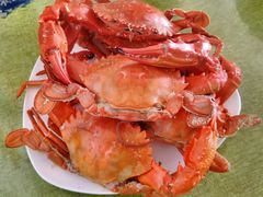 -宾朋海鲜特色美食餐厅·纯手工鲅鱼水饺(兴海路店)