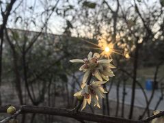 -丰台花园