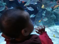 -成都浩海立方海洋公园