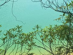 -广州市流溪河国家森林公园