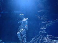 -太平洋海底世界