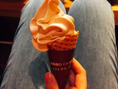 北海道牛乳冰淇凌-王鼎精致料理铁板烧(世博源店)