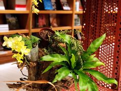 -二酉书店TOYOU BOOKS