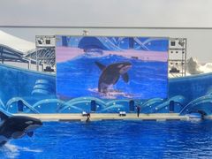 -上海海昌海洋公园
