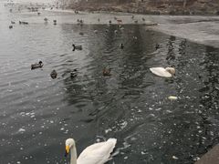 -北京动物园