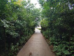 -洨河生态公园