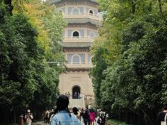 -灵谷景区