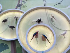 -陕西自然博物馆