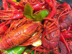 -香满锅老北京羊蝎子火锅·家常菜(新街口店)