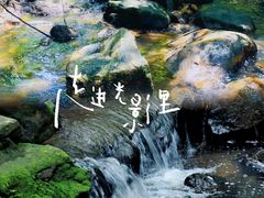 -东莞市大岭山森林公园