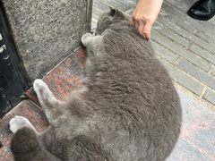 -馨园villa融合菜(东山店)