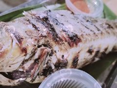 -杨合林啊兰烤鱼