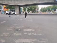 -萍香大厨·葱烧大鱼头(解放北路店)