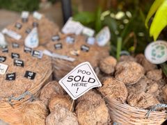 -大象粑粑造纸公园