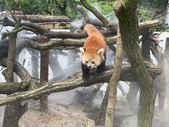 -杭州少年儿童公园