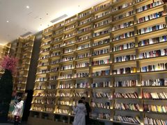 -深影国际影城(学院南路店CGS中国巨幕店)