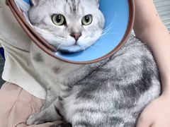 -美美宠物诊疗中心·异宠·骨科(滨江东信分院)
