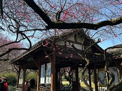 -杭州植物园