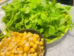 -红辣椒·川菜·火锅(张杨路店)