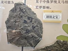 -河南自然博物馆