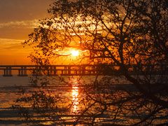 -宝安西湾红树林湿地公园