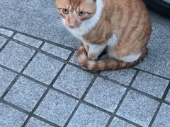 -长阳创谷