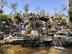 -东莞植物园