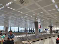 -米兰马尔彭萨国际机场