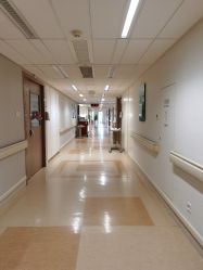 -杭州贝瑞斯美华妇儿医院·早孕·产检·儿科